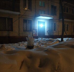 Fyodora Poletayeva Street, 5к1, : foto