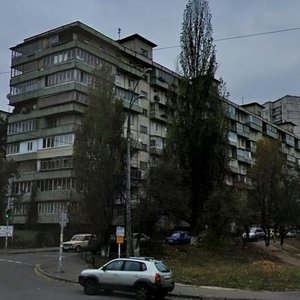 Chornobylska Street, 13, Kyiv: photo