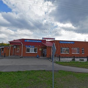 Konstantina Zaslonova Street, 52К1, : foto
