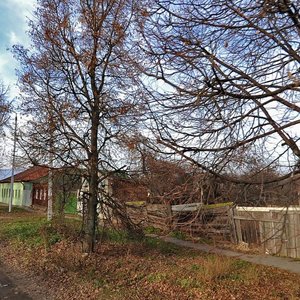 Тула, Улица Жореса, 22А: фото