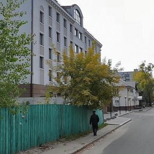 Vavylovykh Street, 10, Kyiv: photo