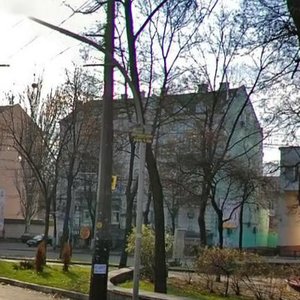 Yuriia Illienka Street, 61, : foto