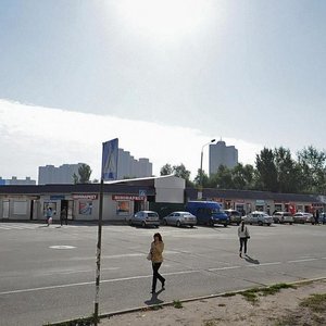 Sribnokilska Street, No:5А, Kiev: Fotoğraflar