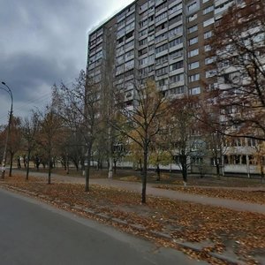 Kompozytora Liatoshynskoho Street, 2, Kyiv: photo