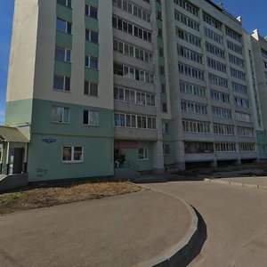 Galetnaya Street, 11, Penza: photo