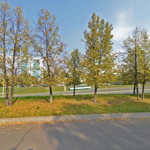 Vakhitova Avenue, 24, Naberezhnye Chelny: photo