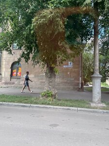 Oktyabrskaya Street, 2, Magnitogorsk: photo