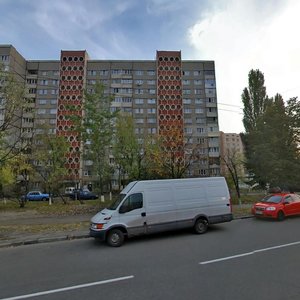 Heroiv Dnipra Street, 22, : foto