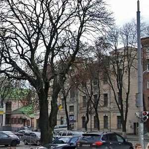 Moskovska Street, 38 ، كييف: صورة
