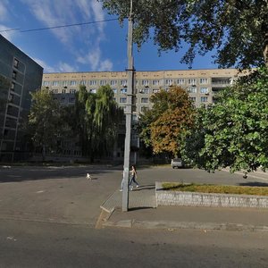 Днепр, Улица Владимира Антоновича, 6: фото