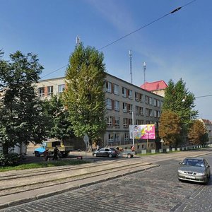 Lychakivska vulytsia, 130, Lviv: photo