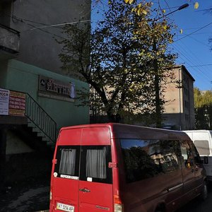 Ивано‑Франковск, Улица Тычины, 8: фото