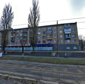 Vatslava Havela Boulevard, 50, Kyiv: photo