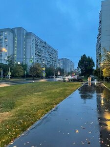 Москва, Луговой проезд, 9к1: фото