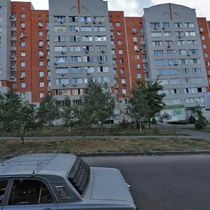 Robocha Street, 20, Dnipro: photo