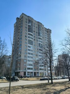 Санкт‑Петербург, Улица Вавиловых, 9к5: фото