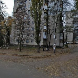 Stadionna Street, 3А, Kyiv: photo