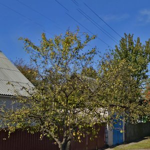Zharesa Alfiorava Street, 3, Minsk: photo