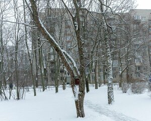 Toreza Avenue, 102к5, Saint Petersburg: photo