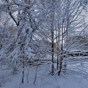 Sportyvna Street, 11, Pripyat: photo