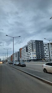 Ulitsa Akademika Landau, 51, : foto