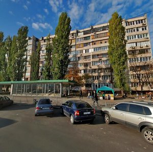 Obolonskyi Avenue, 3/15, Kyiv: photo