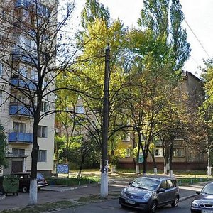 Ihoria Turchyna Street, 5, Kyiv: photo