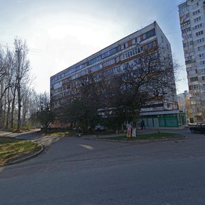 295 Strelkovoy Divisii Street, 10, : foto