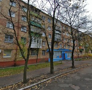 Alma-Atynska Street, 66, Kyiv: photo