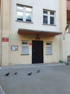 Nemirovicha-Danchenko Street, 169 ، نوفوسيبيرسك: صورة