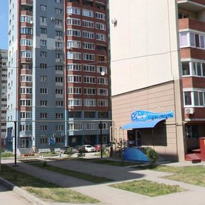 Michurina Street, 130, Samara: photo