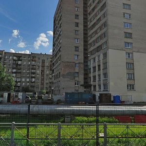 Veteranov Avenue, 150, Saint Petersburg: photo