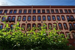 Pushkinskaya Street, 9, Saint Petersburg: photo