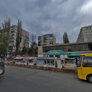 Hnata Yury Street, 13, Kyiv: photo