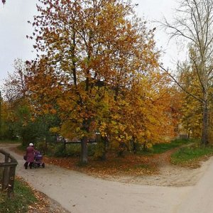 Ulitsa Sergeya Vezlomtseva, 1, Bor: photo