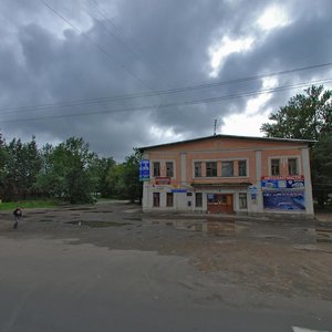 Leona Pozemskogo Street, 110, Pskov: photo