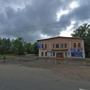 Leona Pozemskogo Street, No:110, Pskov: Fotoğraflar