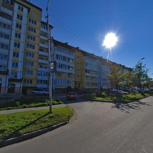 Marshala Borzova Street, 101, Kaliningrad: photo