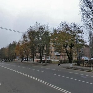 Vidradnyi Avenue, 18, Kyiv: photo