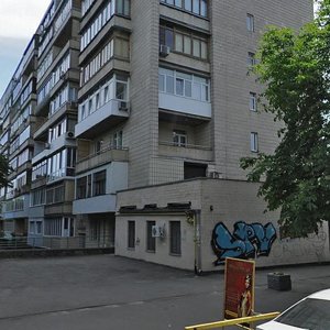 Vynohradnyi Lane, 4, Kyiv: photo