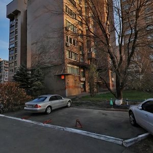 Antonovycha Street, 100, Kyiv: photo