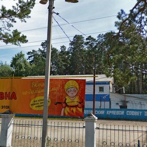 Zmeinogorskiy Highway, 36, Barnaul: photo