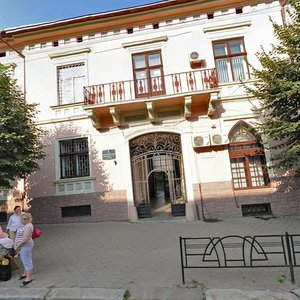 Holovna vulytsia, 105, Chernivtsi: photo