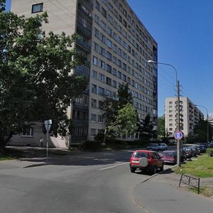 Veteranov Avenue, 93, Saint Petersburg: photo