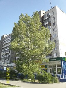 Geroev Stalingrada Avenue, 56 ، فولغوغراد: صورة