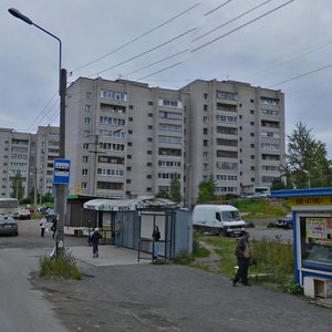 Borovaya Street, 5, Petrozavodsk: photo