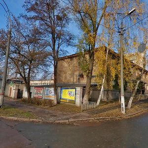 Oleksy Tykhoho Street, 94, Kyiv: photo