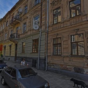 Vulytsia Bohdana Lepkoho, 11, Lviv: photo