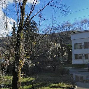 Iskry Street, 68, Sochi: photo