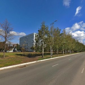 Vakhitova Avenue, 14, Nizhnekamsk: photo